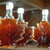 Maple Syrup Crisis Has a Backyard Solution 